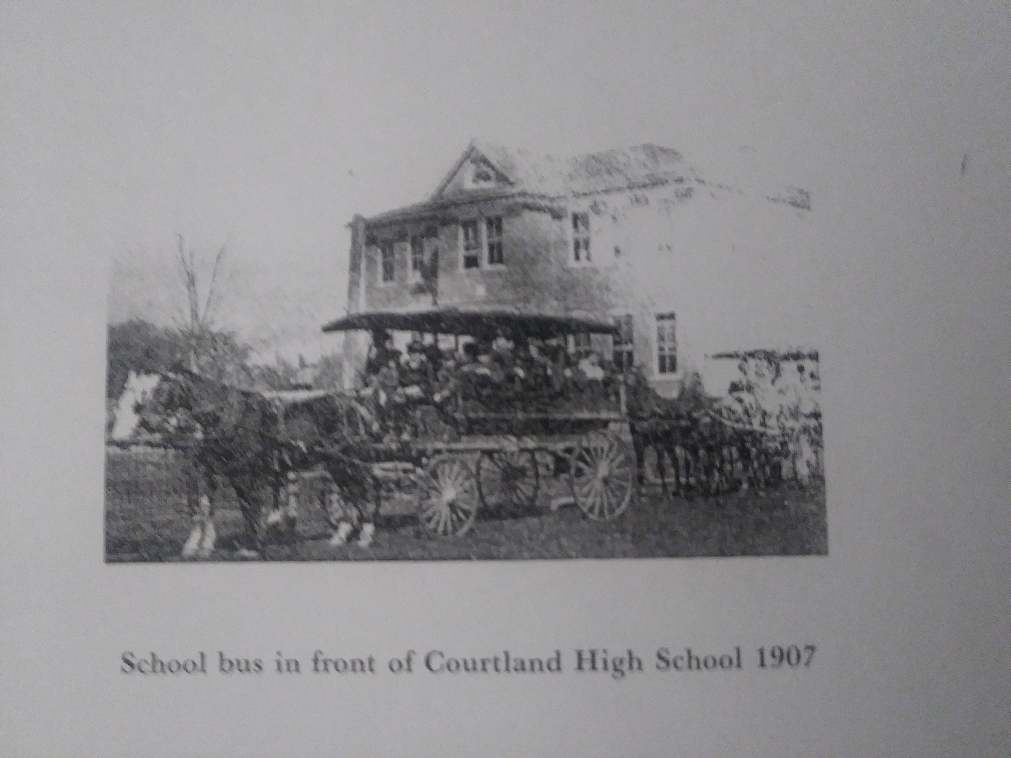 School Bus1
